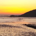 La baie de Suncheon, incontournable pour un voyage en Corée du Sud