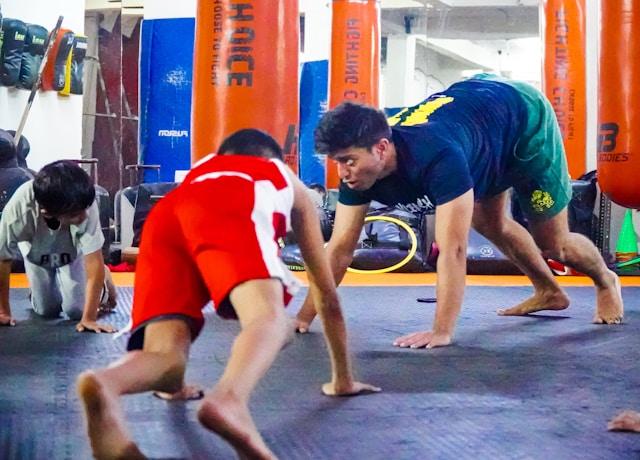 programme d'entraînement