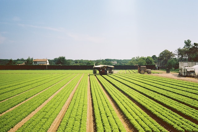 assurance agricole